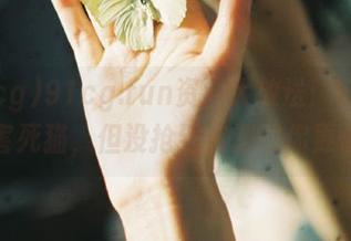 91cg.fun资源大放送：好奇心害死猫，但没抢到资源的你更惨