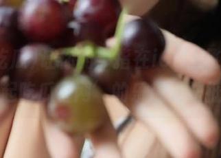 让你的手指在iOS上飞舞，‘一起吃瓜官网’的乐趣无法抵挡