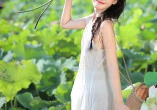 朝阳与Android：吃瓜网里的错位美好