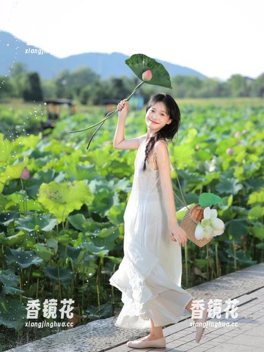 吃瓜网 朝阳与Android:吃瓜网里的错位美好