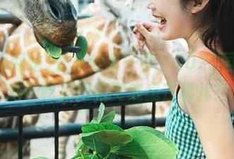快来分享一下，2025国产黑料的吃瓜网站到底藏在哪儿？