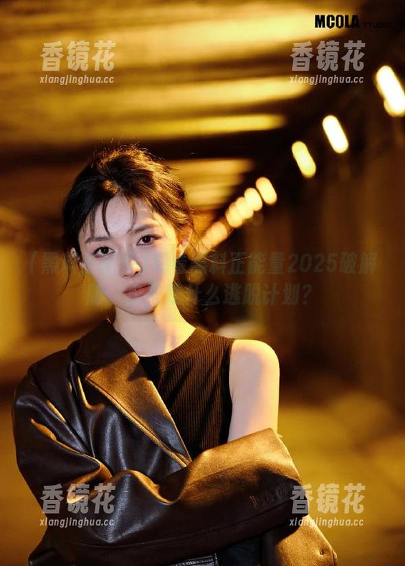 观看黑料正能量2025破解版，这次是什么逃脱计划？