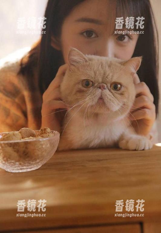 黑料网 黑料网91的美人儿们,真心想来个网址深挖,但小心别看太久了!